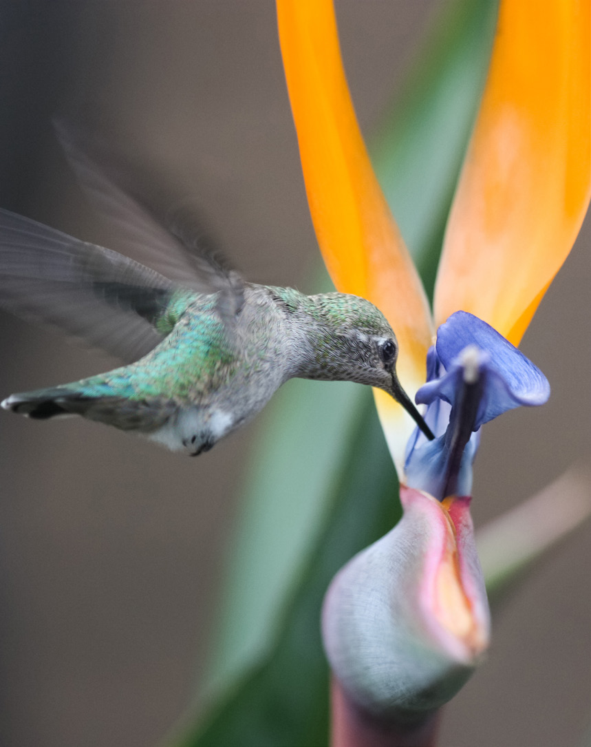 wholeness event images